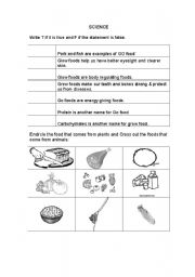 English worksheet: Pre School science worksheet grow glow go foods