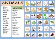 English Worksheet: Animals