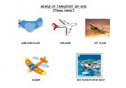 English worksheet: THE MEANS OF TRANSPORT (BY AIR)