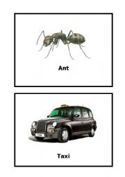 English Worksheet: SET 2 - BLACK THINGS