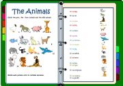English Worksheet: The animals