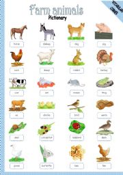 English Worksheet: FARM ANIMALS - PICTIONARY