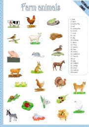 English Worksheet: FARM ANIMALS - MATCHING