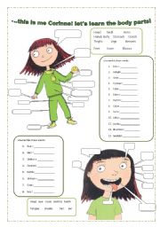 English Worksheet: lets learn the  body parts