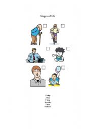 English Worksheet: stages of life