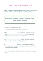 English worksheet: Science worksheet/ Animals adaptation