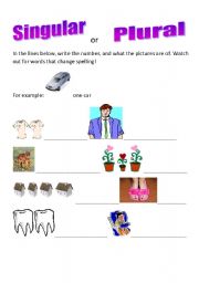 English worksheet: Singular or Plural