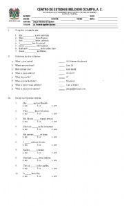 English Worksheet: exam