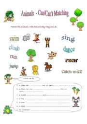 English Worksheet: What can a cat do???