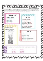 English Worksheet: IRREGULAR PLURALS YOU MUST LEARN FOR THE TOEFL TEST