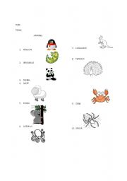 English worksheet: 10 animals