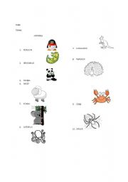 English Worksheet: 10 animals