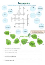 English Worksheet: Types of Animals:  Insects