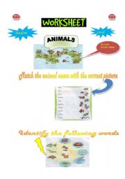 English Worksheet: Animals