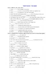 English Worksheet: TEST TO BE + TO HAVE