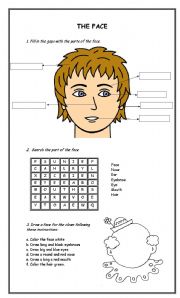 English Worksheet: The face