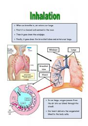 Inhalation