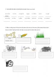 English Worksheet: Farm animals and their food