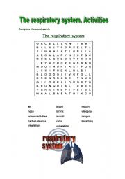 The respiratory system activities