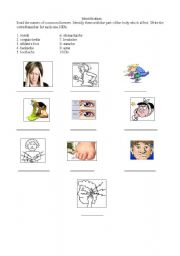 English worksheet: Disease and illness