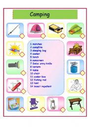 English Worksheet: Camping