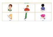 English worksheet: Body Parts