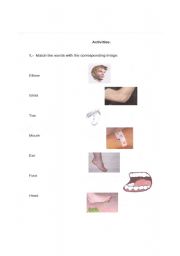 English worksheet: Parts of the body