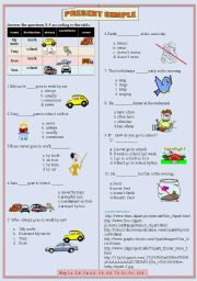 English Worksheet: Multiple choice Present Simple Tense Test