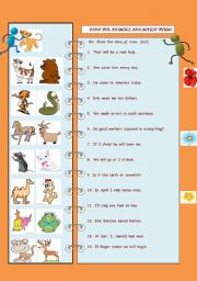 English Worksheet: animals