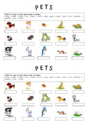 English Worksheet: PETS