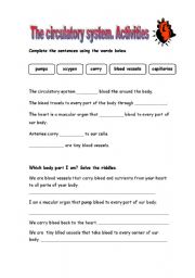 The circulatory system. Activities