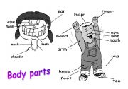 Body parts