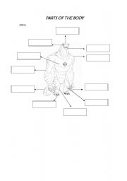 English Worksheet: Parts of the body