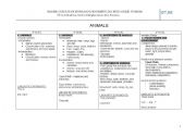 English worksheet: animals