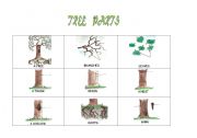 tree parts