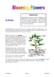 English Worksheet: Blooming Flowers