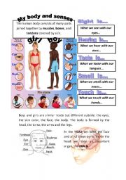 English Worksheet: MY BODY AND SENSES