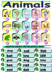 English Worksheet: animals