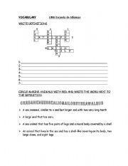 English worksheet: vocabulary