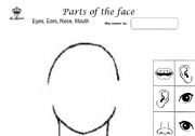 English Worksheet: parts of the face