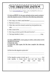 English Worksheet: The Digestive System