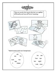 English Worksheet: Homophones 