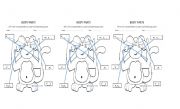 English Worksheet: PARTS OF THE BODY