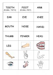 English Worksheet: Memory game