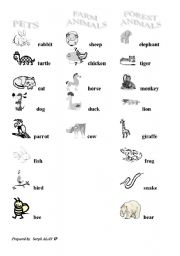 English worksheet: animals