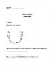 English Worksheet: Dental Hygiene Worksheet & Answer Key (4pgs)