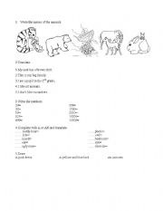 English worksheet: Vocabulary test beginners