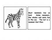 English worksheet: Zebra parts of the body booklet