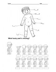 English Worksheet: parts of the body