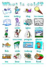 English Worksheet: What is cold?: pictionaries, 2 versions with and without words. Instructions inside.